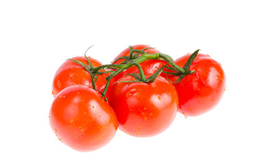 Branch of red ripe bio tomatoes isolated on white background.