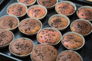 Yummy, hot muffins on a baking plate.