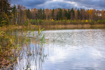 Beautiful forest lake old quarry rainy and gloomy autumn day