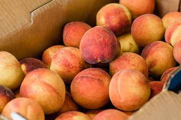 Box of Peaches on a Peach Fruit Stand at A Farrmer's Market Orchard in the Summer