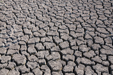 Dry soil and lack of water