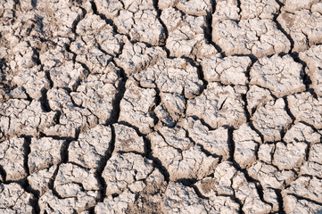 Dry soil and lack of water