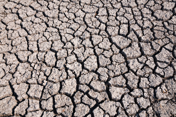 Dry soil and lack of water