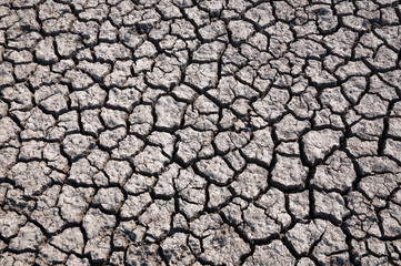 Dry soil and lack of water