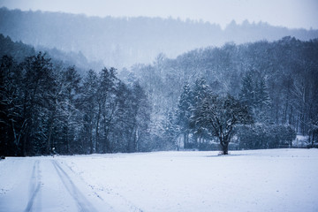 cold snowy winter landscape in germany