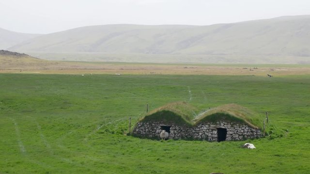 Sheep house -  turf house in Iceland.