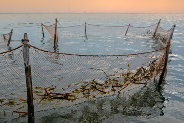 A Fisherman's Net, Jaffna, Sri Lanka	