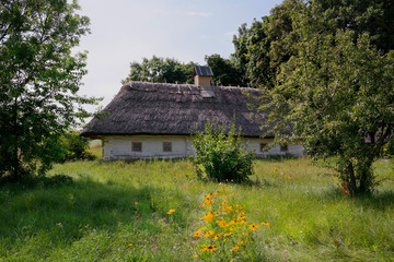 Fototapeta na wymiar Old Ukrainian house. Ukrainian hut of the nineteenth century. Summer landscape, flowers in front of the house, sunlight. Village Pirogovo.