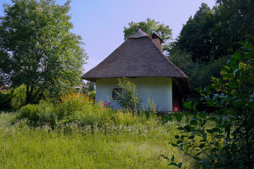 Old Ukrainian house. Ukrainian hut of the nineteenth century. Summer landscape, flowers in front of the house, sunlight. Village Pirogovo.