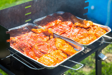 Barbecue garden grill with selection of fresh meat
