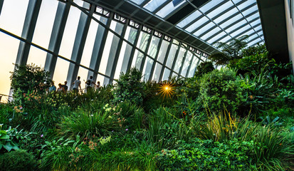The Sky Garden  at 20 Fenchurch Street is a unique public space designed by Rafael Vinoly...