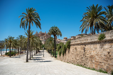 Fototapeta na wymiar Majorca 2019: Panoramic view of Cathedral La Seu of Palma de Mallorca on a sunny summer day with blue sky. Image composition with lots of palm trees and old mural in the foreground