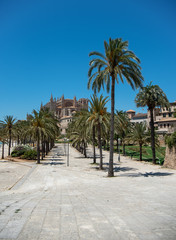 Fototapeta na wymiar Majorca 2019: Cathedral La Seu of Palma de Mallorca on a sunny summer day with blue sky. Image composition with lots of palm trees in the foreground