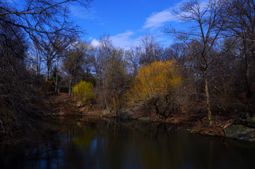 Fototapeta na wymiar Central Park, New York City, Skyline, USA