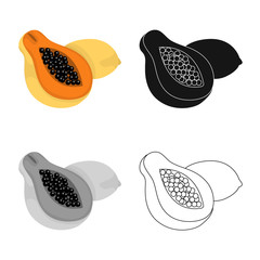 Vector illustration of papaya and fruit icon. Set of papaya and slice stock symbol for web.