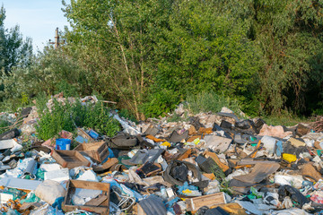 Unauthorized dumping of garbage in the forest. Ecological catastrophy