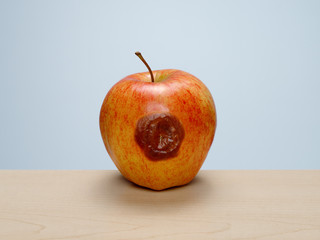 Rotten to the core, bruised apple on wood table