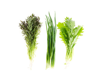 Fresh green leaves of bio salads, onions on white background.