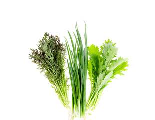 Fresh green leaves of bio salads, onions on white background.