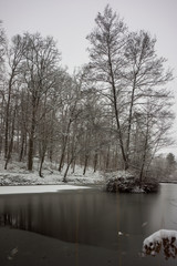 cold winter landscape with lake with island