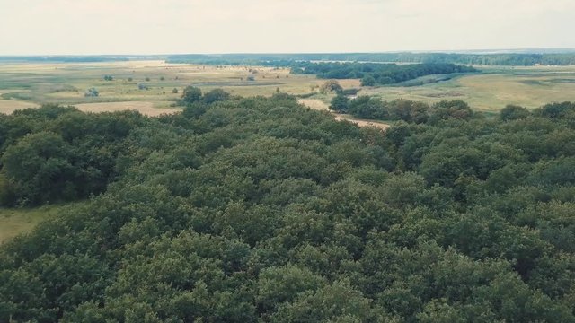 Flight over a kopter on boundless open spaces . Green fields and forests