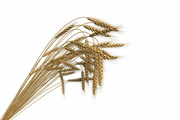 industrial 3D illustration of the rendered bundle of wheat spica isolated on white background - agriculture