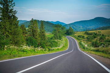 Empty asphalt road in Carpathian mountains among forests and fields