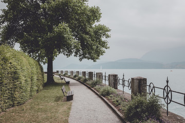 A walk in the park, around flowers, green trees and lake Thun