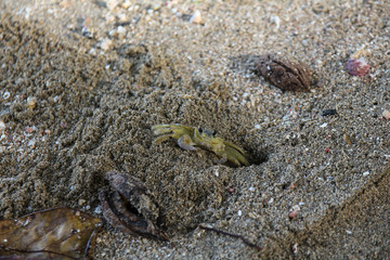 Pura Vida - This is beautiful Costa Rica