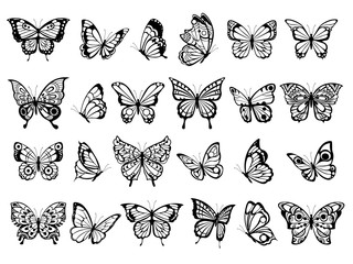 Butterfly collection. Beautiful nature flying insect exotic butterflies with funny wings vector illustration