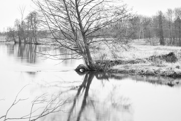 Trees mirrored in water - flowing river landscape in black and white