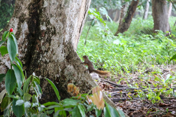 Pura Vida - This is beautiful Costa Rica