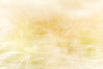 Blurred background - abstract nature backdrop - soft meadow landscape