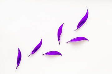 colorful feathers pattern on white background top view copyspace