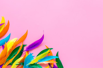 abstract pattern with bright bird feathers on pink background top view space for text