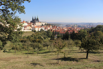 summer panorama of Prague Castle