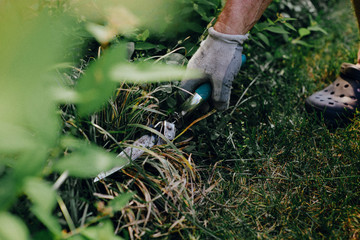 Plucking weeds in the garden. The man pulls weeds out of the garden, cuts the grass. The concept of taking care of the garden, bringing order. Spring summer cleaning outside the house.