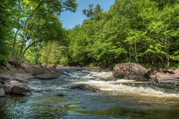 Rapids on Oxtongue river in forest