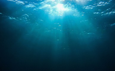 Fototapeta na wymiar Underwater background of sunrays 