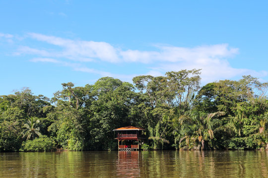 Landscape of the tropical rainforest in Tortuguero, Costa Rica