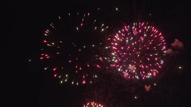 Colorful firework display for celebration .