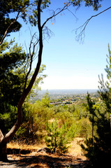 Fototapeta na wymiar Spectacular views overlooking Adelaide city, South Australia, framed by trees and native Australian bushland, taken at Skye Lookout.