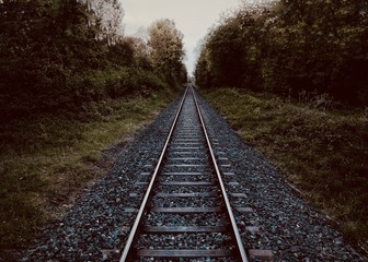 Fototapeta premium railway in forest