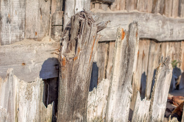 old harbour with rotten wooden slats