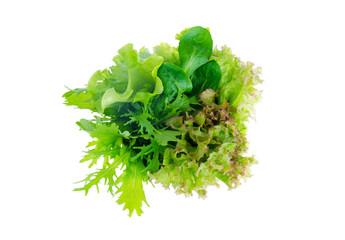 Green salad leafs. Lettuce isolated on white background.