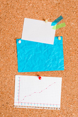 Corkboard color size paper pin thumbtack tack sheet billboard notice board
