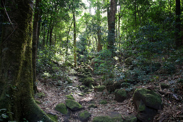 Pura Vida - This is beautiful Costa Rica