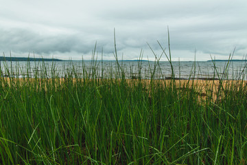 Grass In front of water 