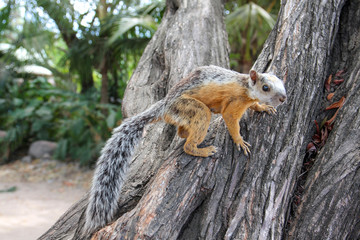 Pura Vida - This is beautiful Costa Rica