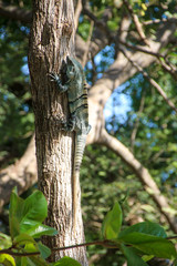 Pura Vida - This is beautiful Costa Rica